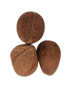 Satvik Dry Whole Coconut (Uncut, Non Edible) For Puja, Prayer & Hawan Purposes, Dry Copra, Nariyal